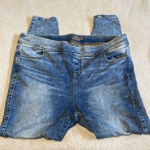 TORRID Feel the Fit High Rise Jeggings